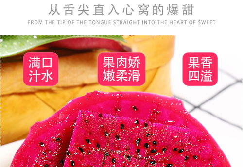 金都一號蜜寶紅心火龍果 現(xiàn)摘新鮮，甜蜜直達